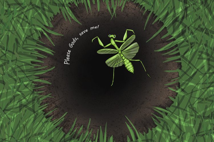 A praying mantis trap (mantra). She fell in a giant hole and you heard her shout a prayer as she fell into the abyss.